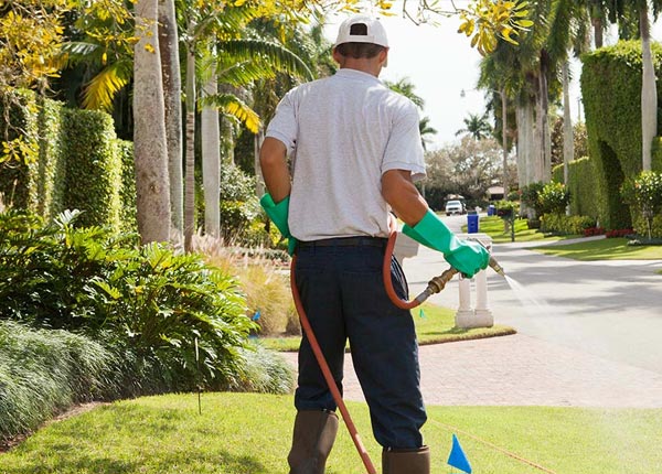 About Naco AZ Pest Control